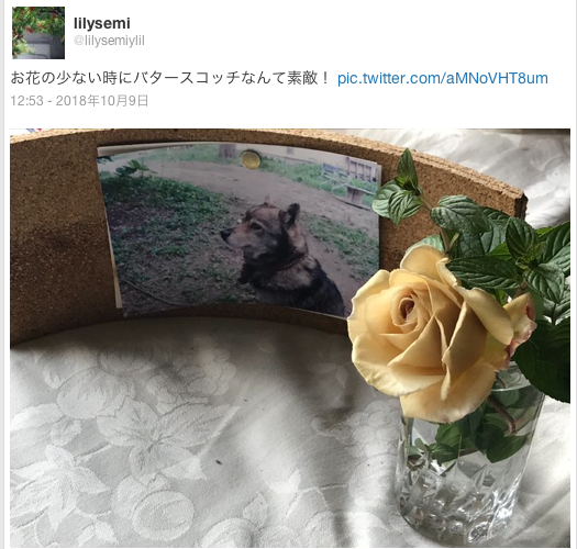 f:id:kokoro2324:20181009144907p:image f:id:kokoro2324:20181009144907p:image