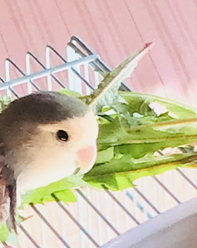 f:id:kokoro2324:20181102200752j:image:w640:left f:id:kokoro2324:20181102200752j:image:w640:left