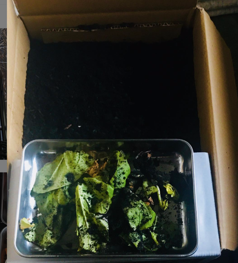 f:id:kokoro2324:20190114111737p:image f:id:kokoro2324:20190114111737p:image