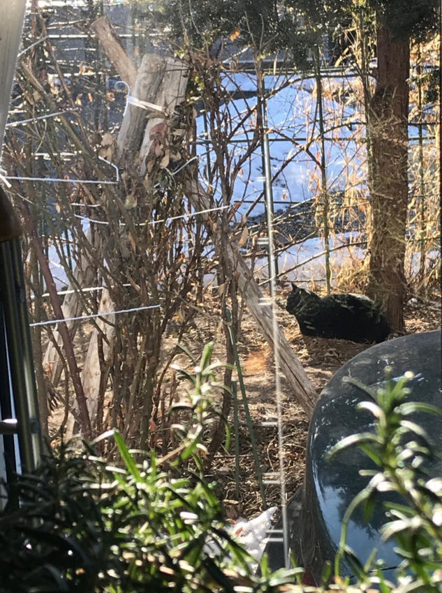 f:id:kokoro2324:20190114111751p:image f:id:kokoro2324:20190114111751p:image