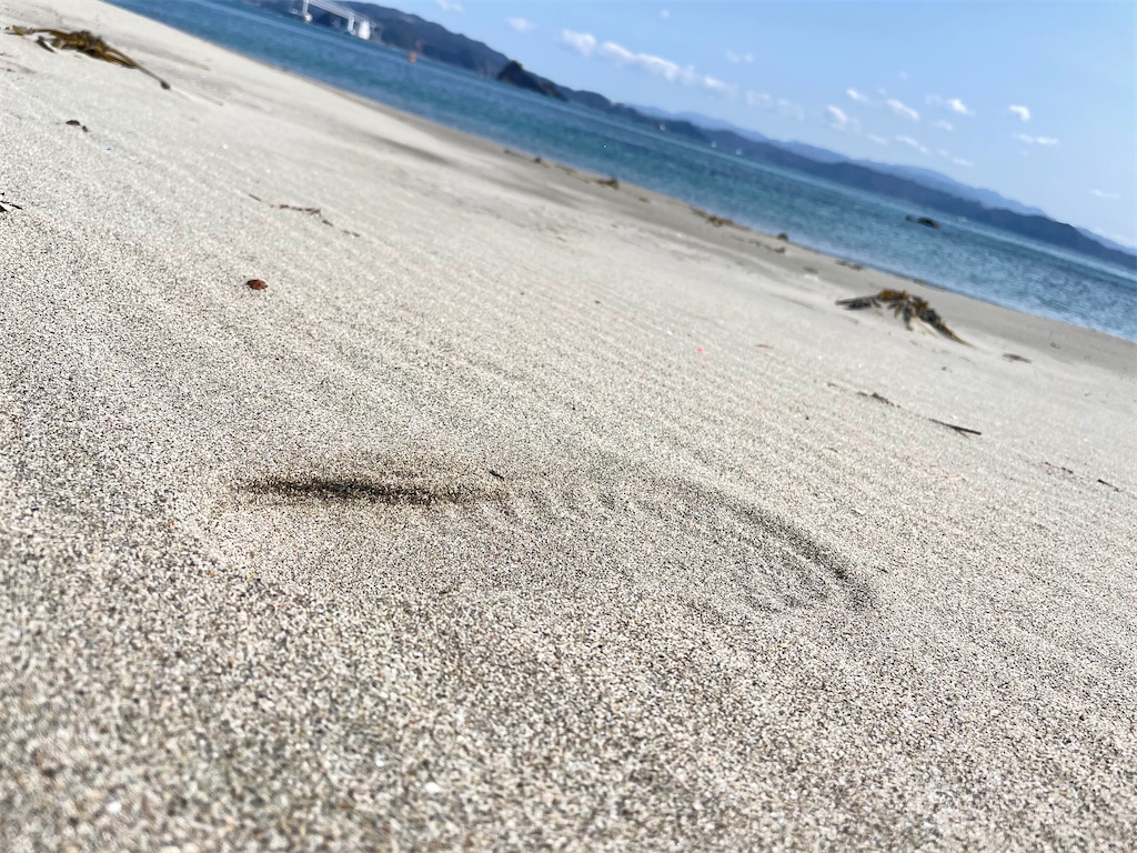 f:id:kokoro_connect:20210314215459j:image