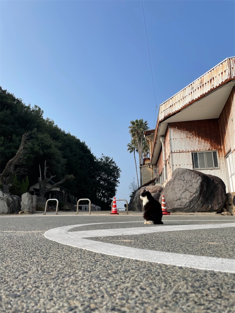 f:id:kokoro_connect:20210316161446j:image