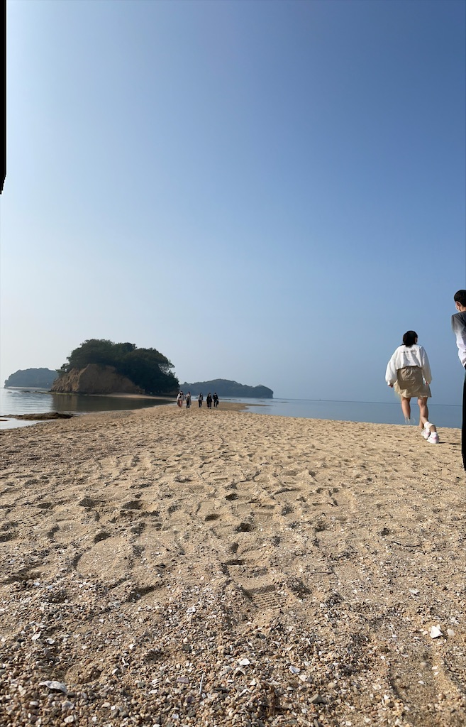 f:id:kokoro_connect:20210316161520j:image