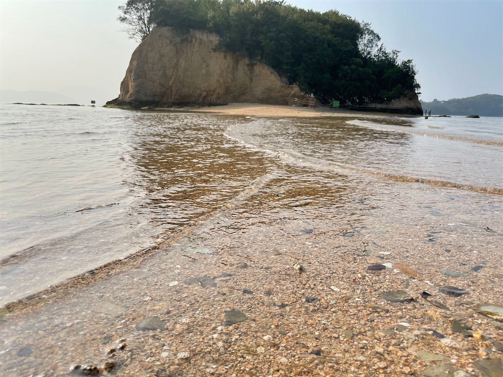 f:id:kokoro_connect:20210316161645j:image