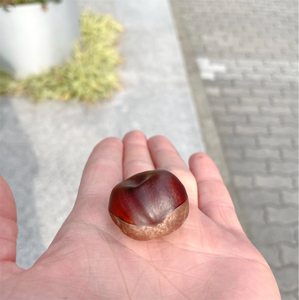 f:id:kokoro_connect:20210317074043j:image