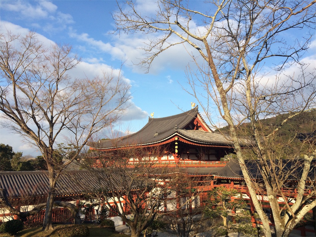 f:id:kokoro_kdwk:20190120210159j:image