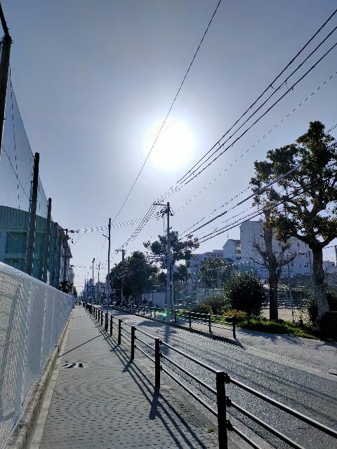 f:id:kokoroakaruku:20250314155314j:image