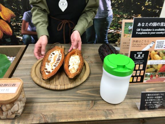 f:id:kokorohongkong:20190124232129j:plain f:id:kokorohongkong:20190124232129j:plain