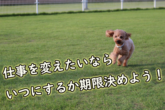 f:id:kokoromapping:20190303171940j:plain f:id:kokoromapping:20190303171940j:plain
