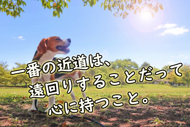 一番の近道は、遠回りをすること