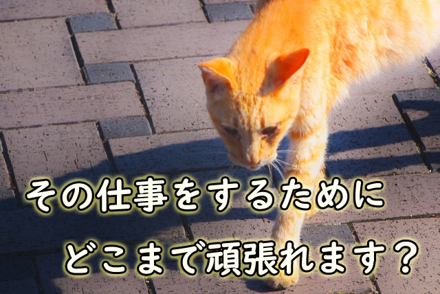 仕事をするため 頑張れること