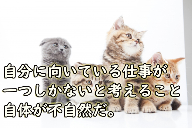 f:id:kokoromapping:20190320190235j:plain f:id:kokoromapping:20190320190235j:plain