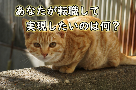 転職で実現したいことは何？