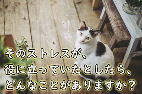 そのストレスが役に立っていたとしたら、どんなことがありますか？