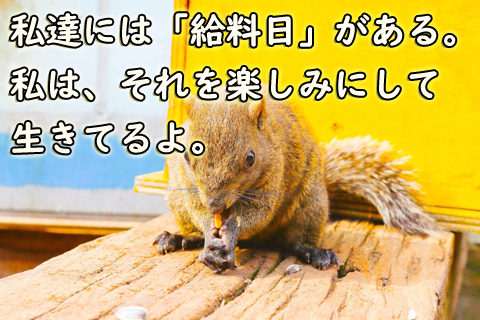 私達には給料日がある。私はそれを楽しみにして生きてるよ。「わたし、定時に帰ります。」