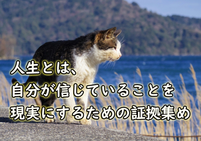 f:id:kokoromapping:20190819224501j:plain