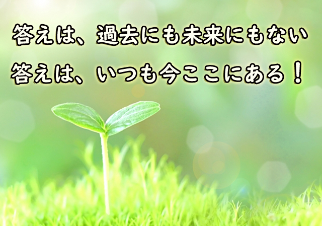 答えは、過去にも未来にもない。 答えは、いつも今ここにある!