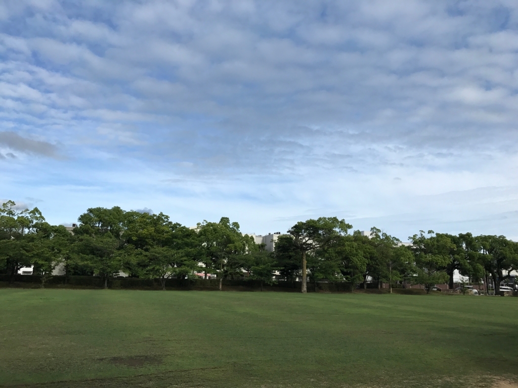 f:id:kokoronokawamuki:20170713065828j:plain f:id:kokoronokawamuki:20170713065828j:plain