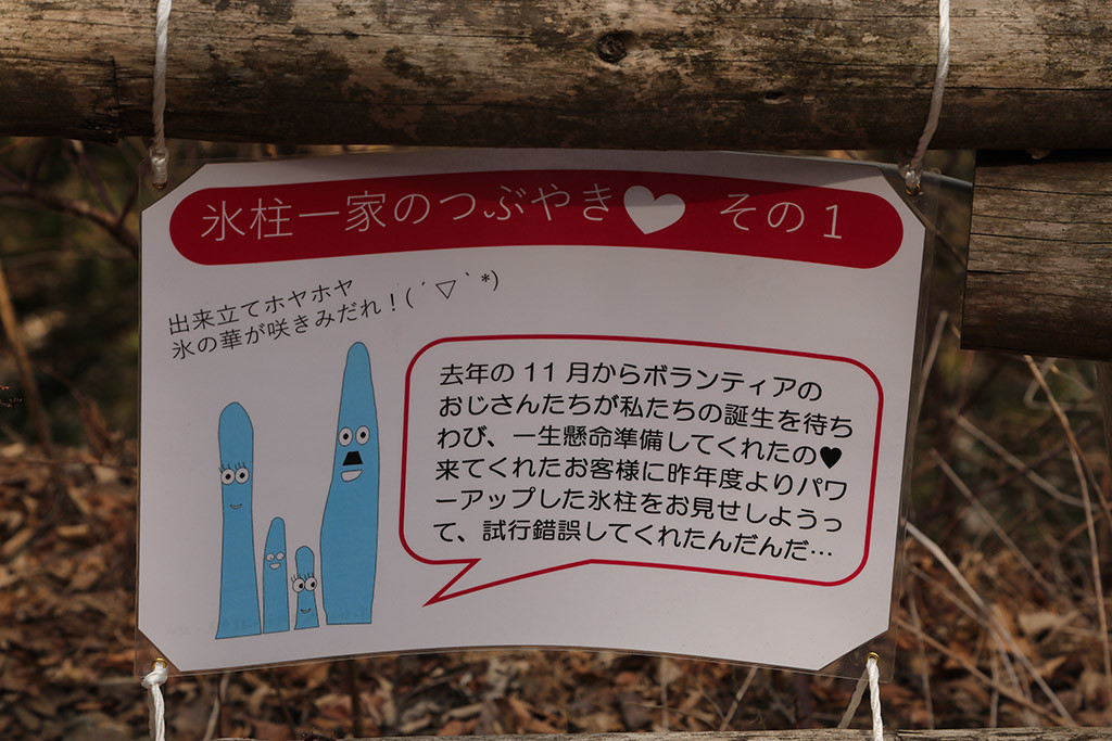 f:id:kokorosha:20190212214814j:plain f:id:kokorosha:20190212214814j:plain