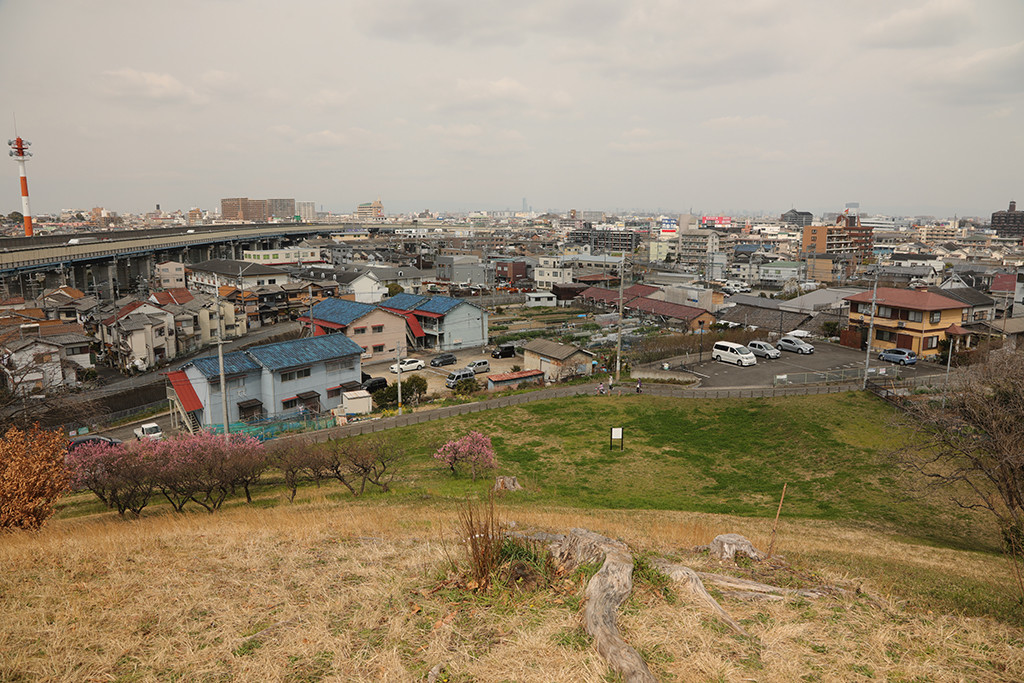 f:id:kokorosha:20190717215215j:plain