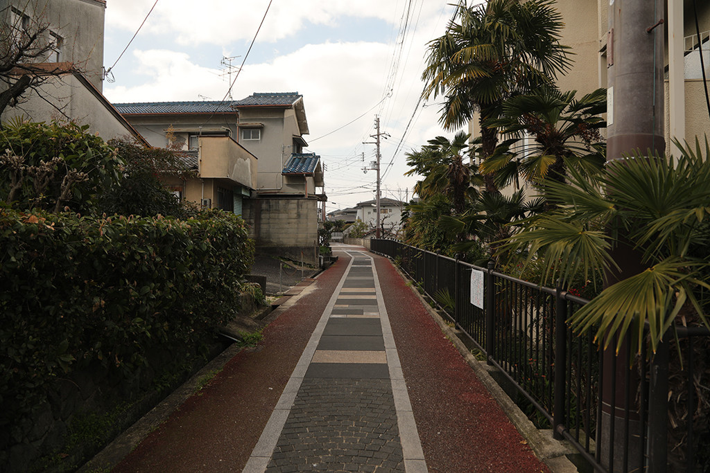 f:id:kokorosha:20190717215408j:plain