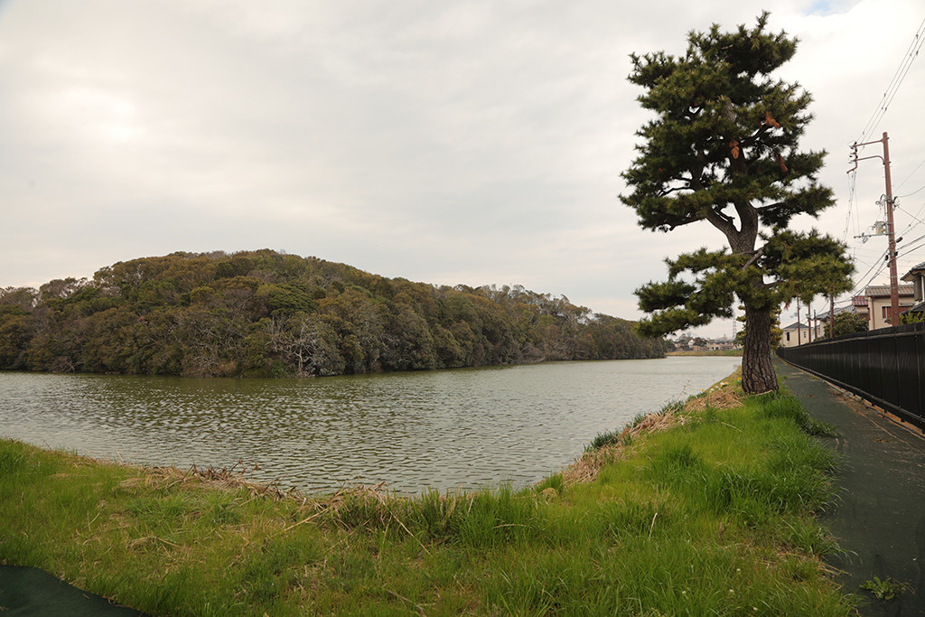 f:id:kokorosha:20190717215512j:plain