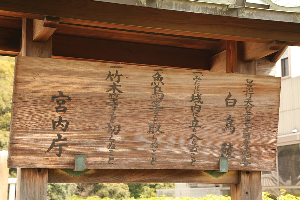 f:id:kokorosha:20190717215532j:plain