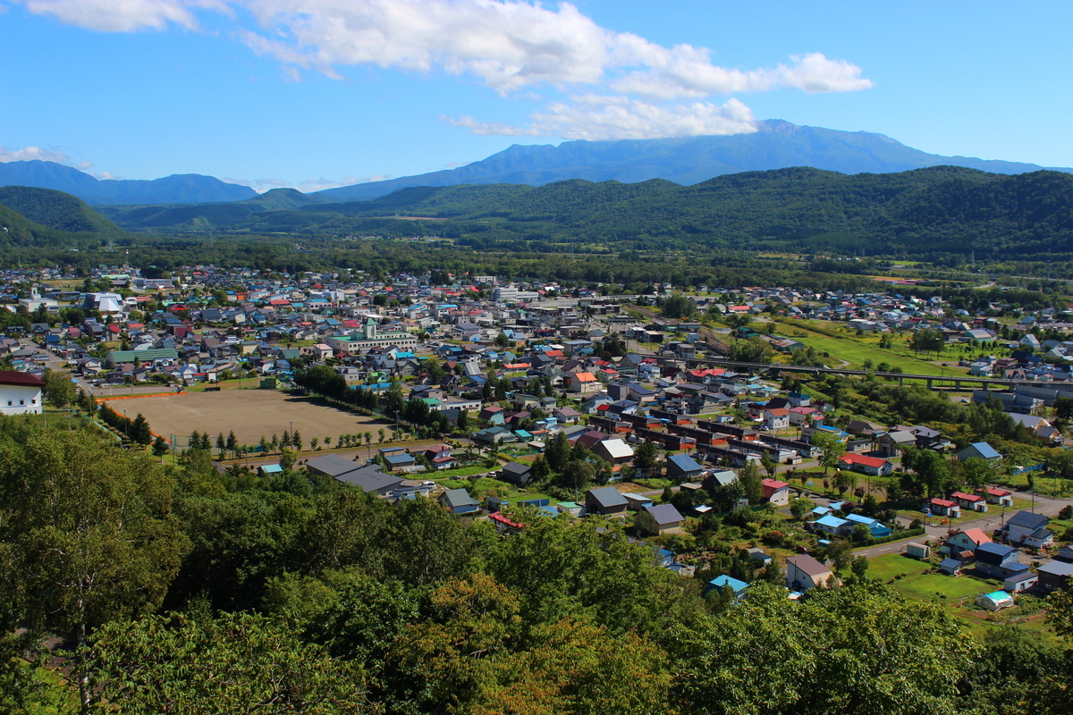 f:id:kokorozashimizu:20201230182021j:plain