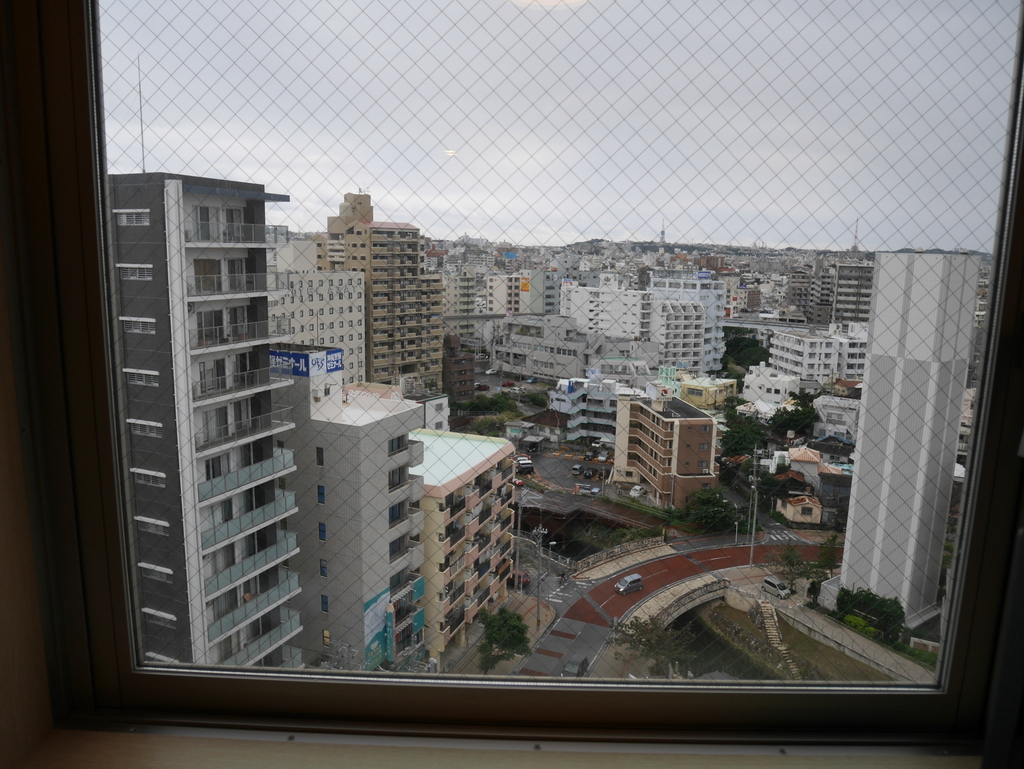 f:id:kokoskokos:20190111174124j:plain f:id:kokoskokos:20190111174124j:plain