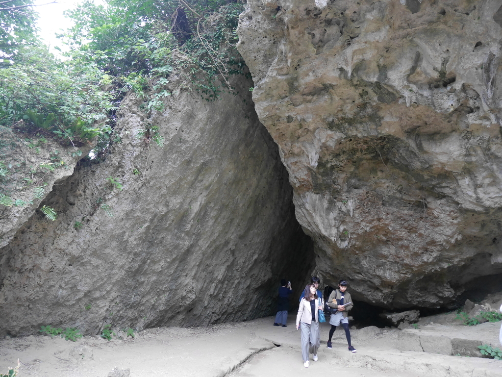 f:id:kokoskokos:20190121175451j:plain f:id:kokoskokos:20190121175451j:plain
