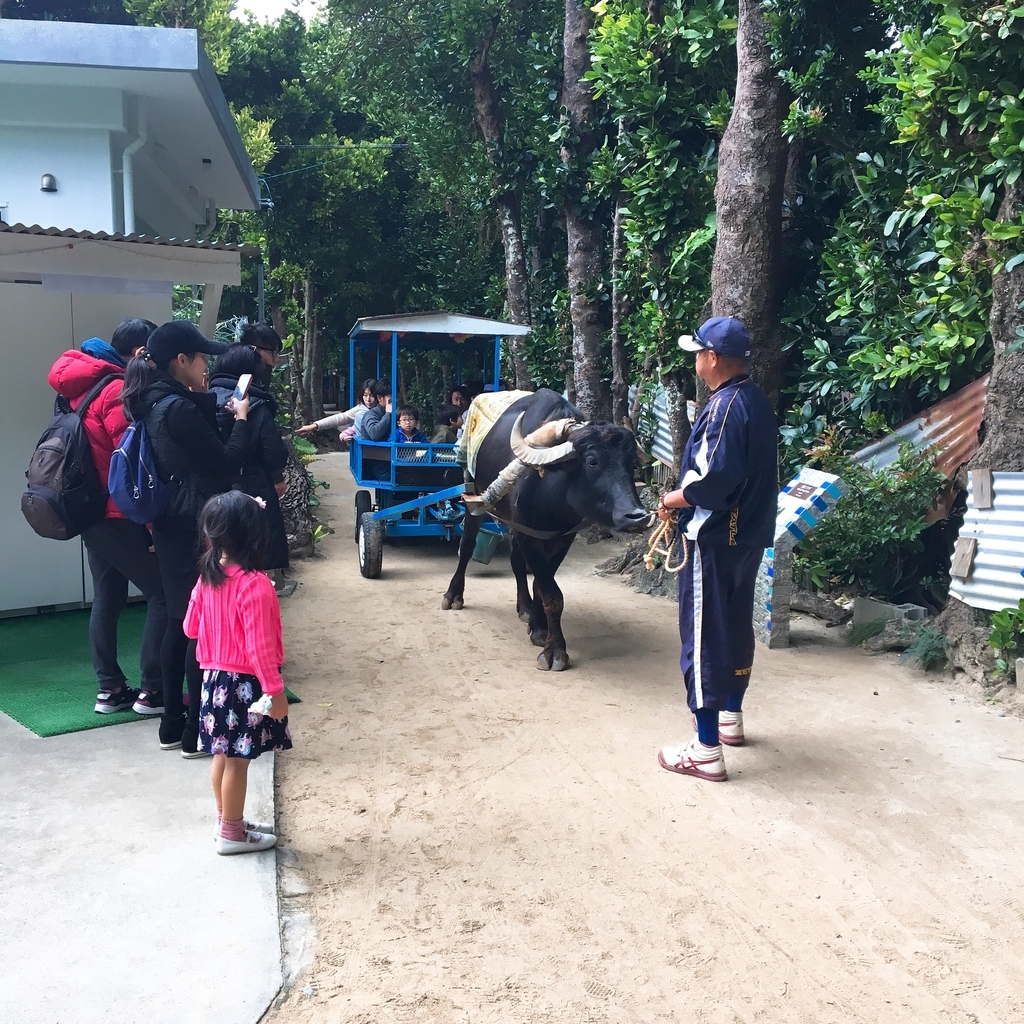 f:id:kokoskokos:20190205222249j:plain f:id:kokoskokos:20190205222249j:plain