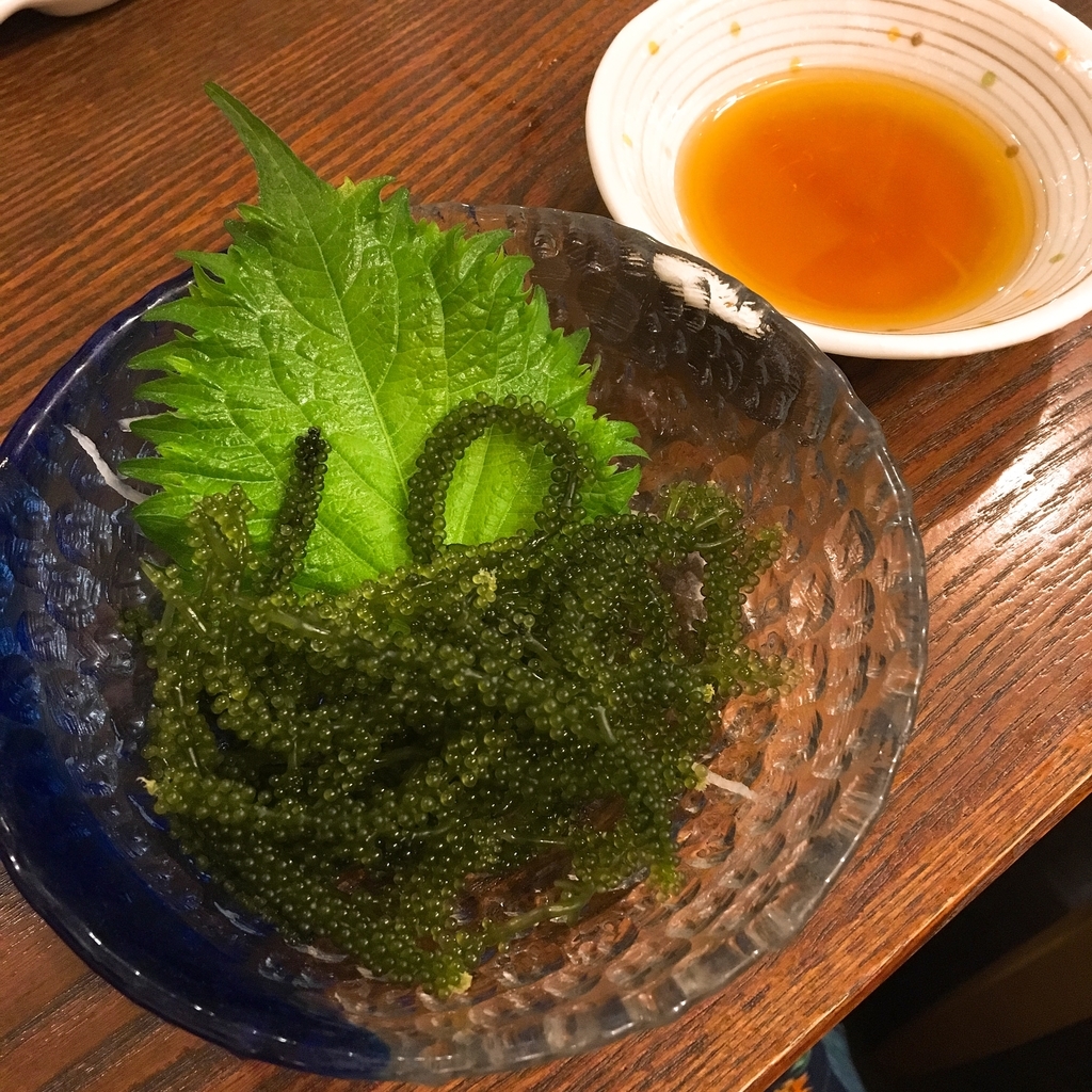 f:id:kokoskokos:20190206173918j:plain f:id:kokoskokos:20190206173918j:plain