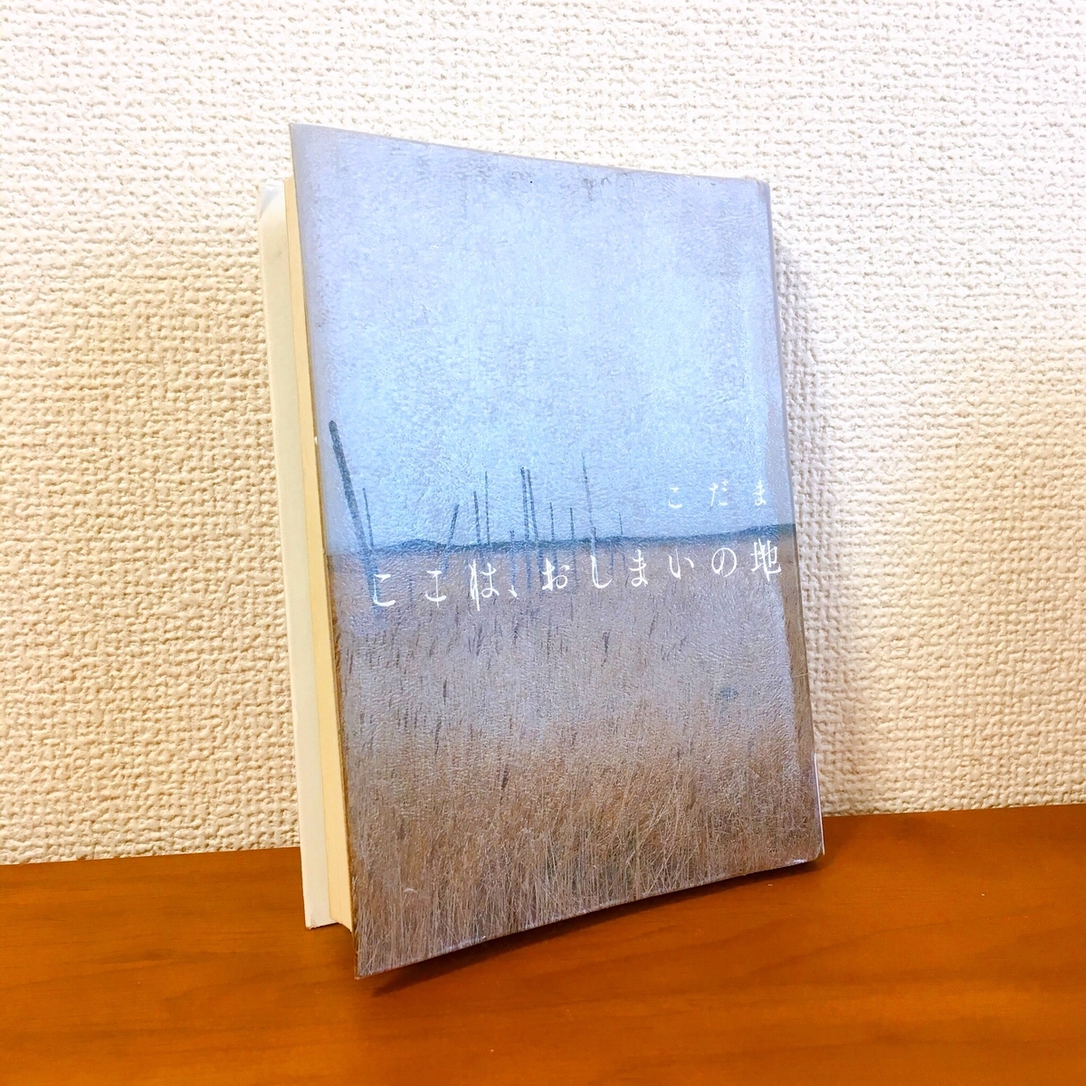 f:id:kokoskokos:20191009130216j:plain