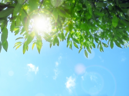 f:id:kokosuki22:20190722100618j:plain f:id:kokosuki22:20190722100618j:plain