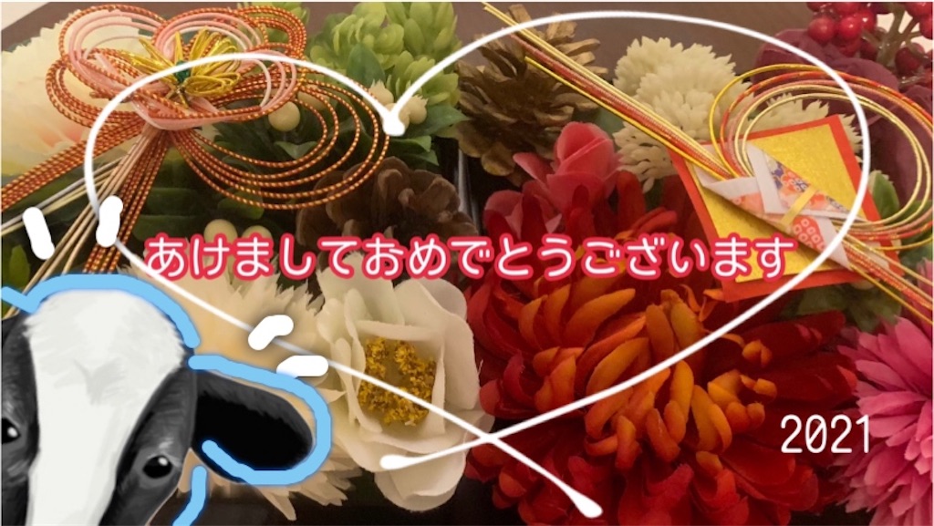 f:id:kokoti-ii8585:20210105190045j:plain