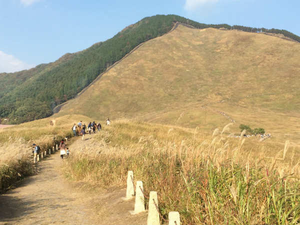 f:id:kokubu_ou:20161029125302j:plain