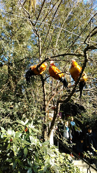 f:id:kokubunzaka:20190102171242j:plain