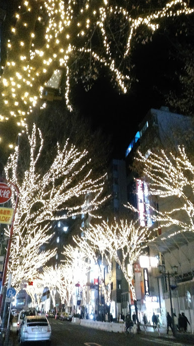 f:id:kokubunzaka:20190123121601j:plain f:id:kokubunzaka:20190123121601j:plain