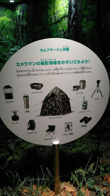 f:id:kokubunzaka:20190130233146j:plain f:id:kokubunzaka:20190130233146j:plain