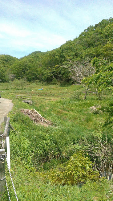 f:id:kokubunzaka:20190509175659j:plain f:id:kokubunzaka:20190509175659j:plain