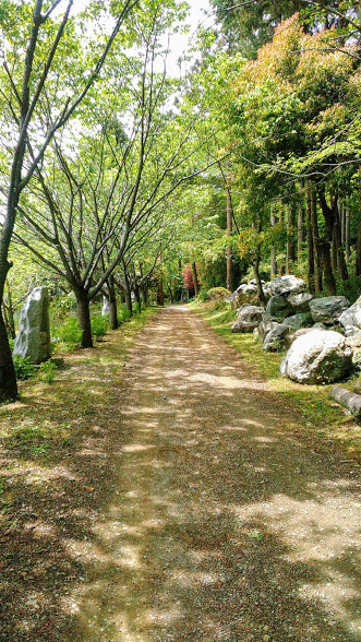 f:id:kokubunzaka:20190509175927j:plain f:id:kokubunzaka:20190509175927j:plain