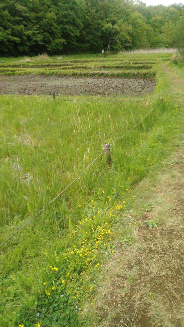 f:id:kokubunzaka:20190524160501j:plain f:id:kokubunzaka:20190524160501j:plain