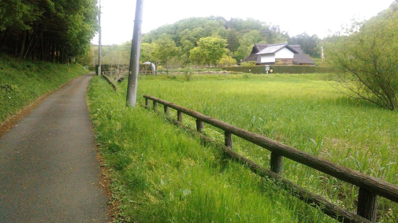 トトロの風景 都立野山北 六道山公園 に行ってきました 里山と森林浴とアスレチックと温泉を一度に満喫 国分坂ブログ
