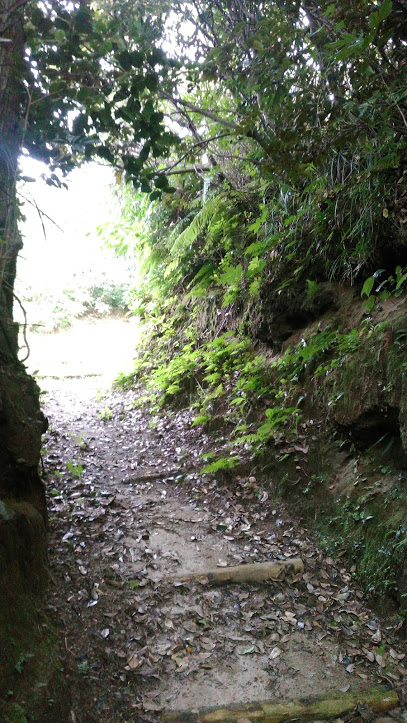 f:id:kokubunzaka:20190808144918j:plain f:id:kokubunzaka:20190808144918j:plain