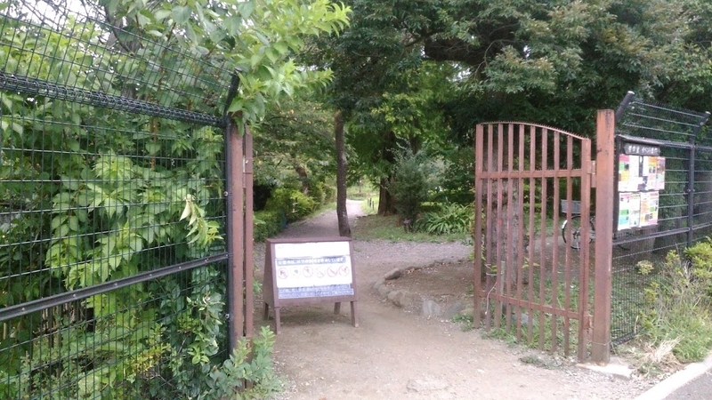 f:id:kokubunzaka:20190827222548j:plain f:id:kokubunzaka:20190827222548j:plain