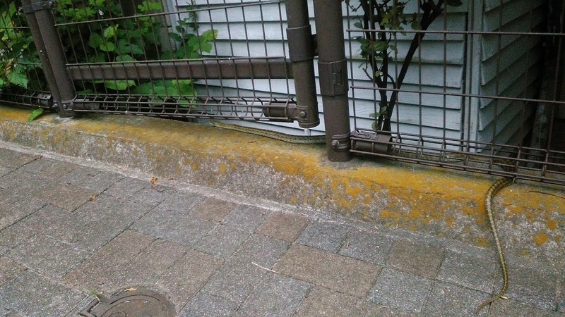f:id:kokubunzaka:20190827222728j:plain f:id:kokubunzaka:20190827222728j:plain