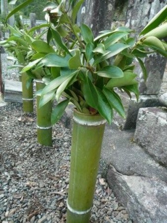 f:id:kokuda:20100504050938j:image:w150
