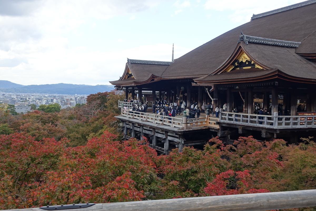 f:id:kokuhou:20211111211735j:plain