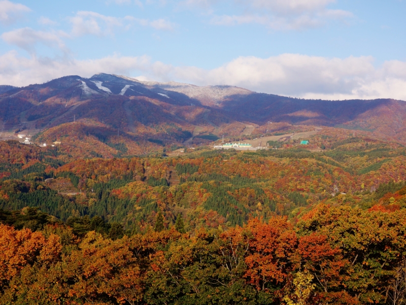 f:id:kokunai3333:20121110003600j:image f:id:kokunai3333:20121110003600j:image