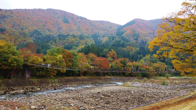 f:id:kokunai3333:20121110003614j:image f:id:kokunai3333:20121110003614j:image